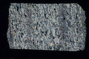 Cross Polarized, N1109