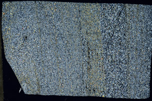 Cross Polarized, N1120