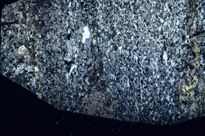 Cross Polarized, N1231