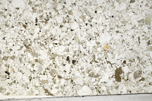 Plane Polarized, N1298