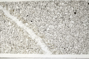 Plane Polarized, N1406