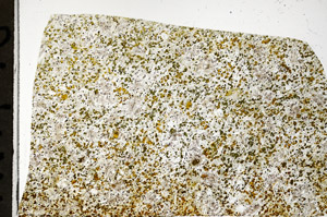 Plane Polarized, N1473