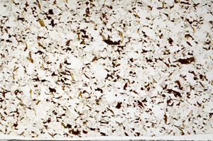 Plane Polarized, N1500