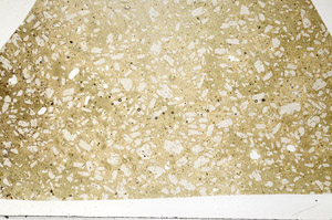 Plane Polarized, N1533