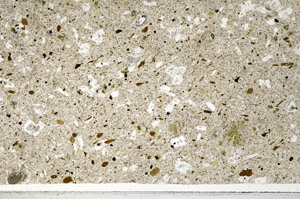 Plane Polarized, N1545