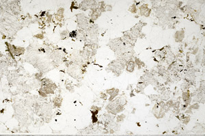 Plane Polarized, N1561