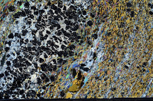 Cross Polarized, N1642