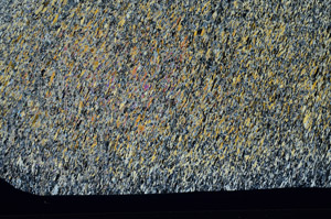 Cross Polarized, N1644