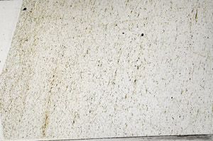 Plane Polarized, N1668