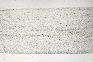 Plane Polarized, N1800