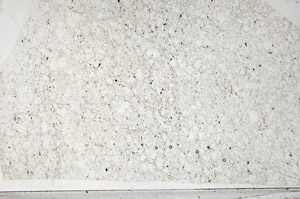 Plane Polarized, N1808