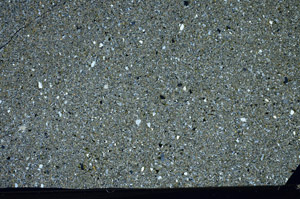 Cross Polarized, N1878