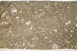 Plane Polarized, N2153