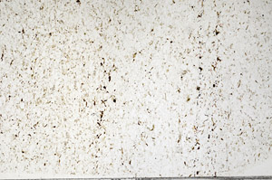 Plane Polarized, N2360