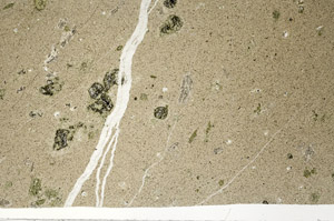 Plane Polarized, N2482