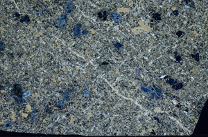 Cross Polarized, N2502