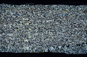 Cross Polarized, N2601