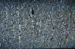 Cross Polarized, N2603