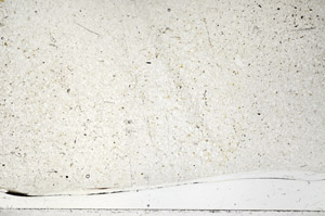 Plane Polarized, N2721