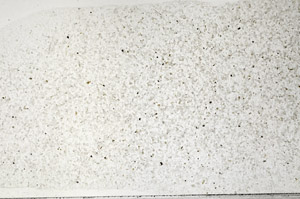 Plane Polarized, N2723