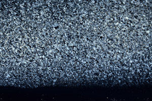 Cross Polarized, N2724