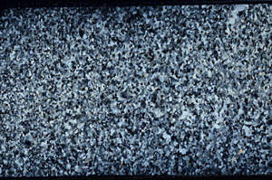 Cross Polarized, N2725