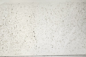 Plane Polarized, N2725