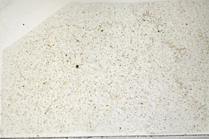 Plane Polarized, N2726