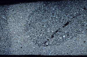 Cross Polarized, N2727