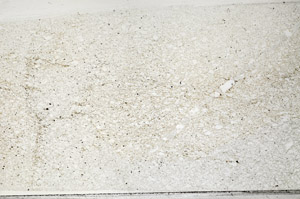 Plane Polarized, N2727