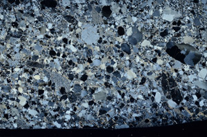 Cross Polarized, N2728