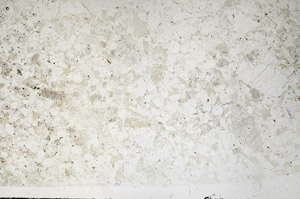 Plane Polarized, N2728