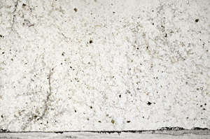 Plane Polarized, N2730