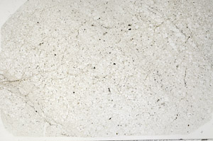 Plane Polarized, N2731