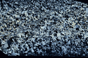 Cross Polarized, N2732