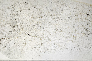 Plane Polarized, N2732