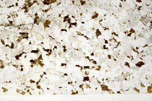 Plane Polarized, N2735