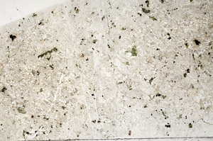 Plane Polarized, N2736