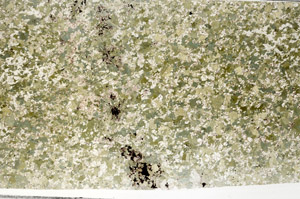 Plane Polarized, N2738