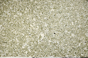 Plane Polarized, N2739