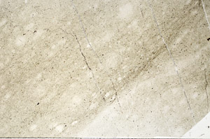 Plane Polarized, N2741