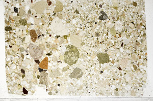 Plane Polarized, N2801