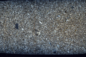 Cross Polarized, N2803