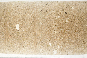 Plane Polarized, N2803