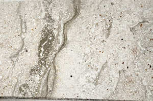 Plane Polarized, N2809