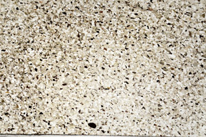 Plane Polarized, N2815