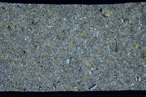 Cross Polarized, N2833