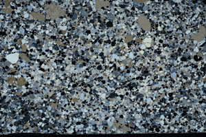 Cross Polarized, N2892