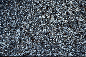 Cross Polarized, N2895