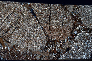 Cross Polarized, N2896